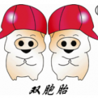 双胞胎(集团)股份有限公司